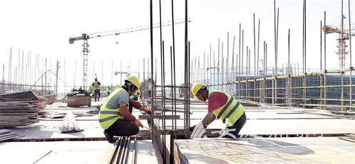 打造皖西南地區(qū) 大廚房 綠色農(nóng)業(yè)軍民融合食品產(chǎn)業(yè)項目建設(shè)提速