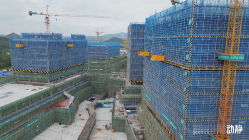 貴州建工集團(tuán) 聚焦 三大工程 調(diào)結(jié)構(gòu) 以高水平項(xiàng)目助力高質(zhì)量發(fā)展