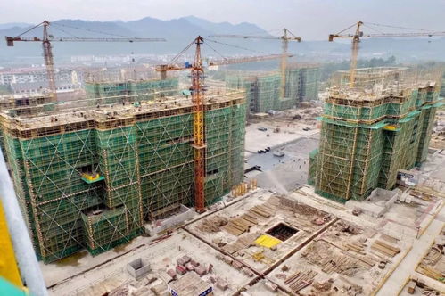 建筑工程質量潛在缺陷保險 idi ,國際和國內情況