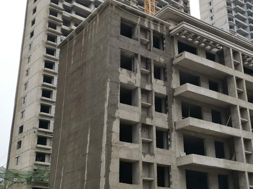 重磅 動真格了,泰和置業(yè)邀請市建設(shè)工程質(zhì)量協(xié)會前來指導(dǎo)